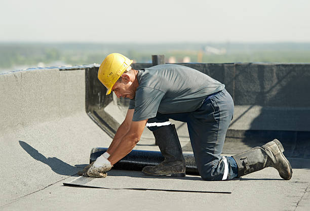 Best Cellulose Insulation in Terrace Park, OH