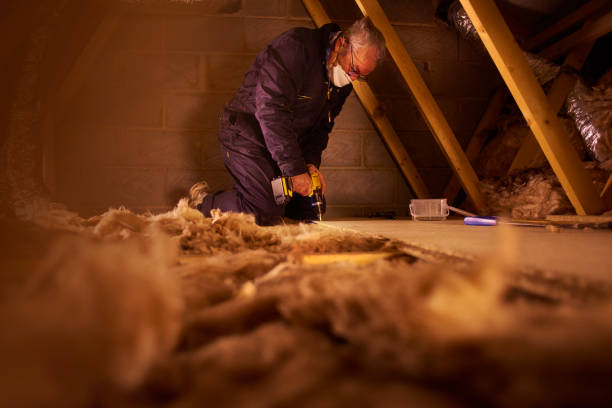 Best Geographic-Specific Insulation Services in Terrace Park, OH